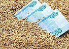 Цены на пшеницу на внутреннем рынке стабилизируются